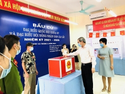 8 tinh huong phong chong dich covid 19 trong ngay bau cu