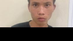 Làm rõ vụ trộm cắp bò và cậy két sắt nhiều trường mầm non