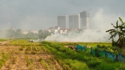 bai 3 quan ly dat dai hieu qua chia khoa giai quyet o nhiem khong khi va do thi hoa ben vung