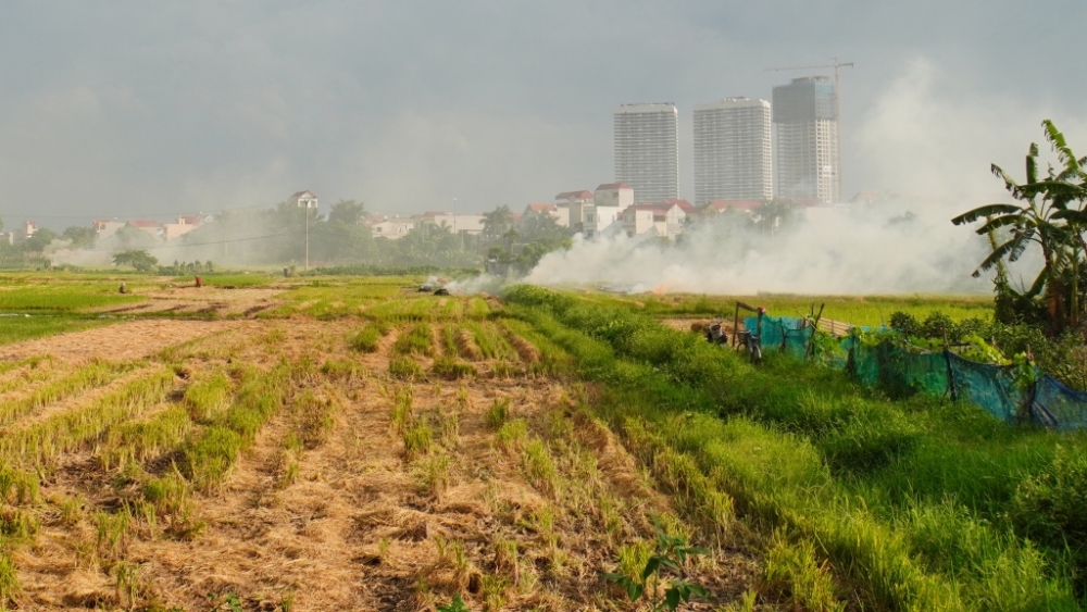 Bài 3: Quản lý đất đai hiệu quả - chìa khoá giải quyết ô nhiễm không khí và đô thị hoá bền vững