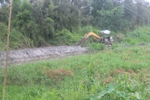 Thủ tướng đồng ý quyết định chuyển mục đích sử dụng 30ha đất nông nghiệp tại Thái Bình