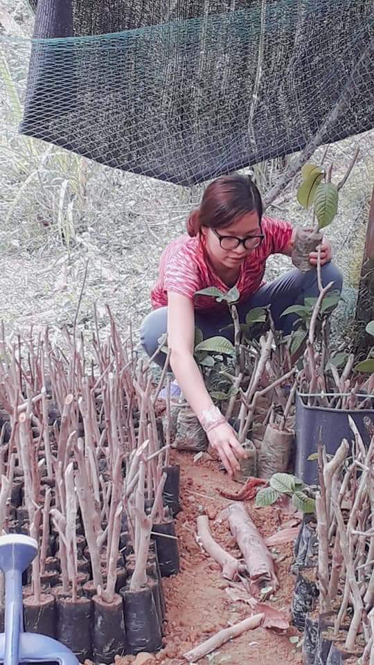 co gai tre bac kan xay thuong hieu tra hoa vang