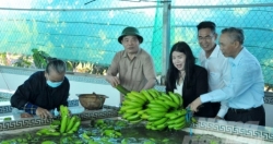 Bộ trưởng Nguyễn Xuân Cường: Ngành Nông nghiệp đã phải chịu rủi ro “kép”