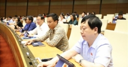 Xem xét, quyết định Bộ Thanh niên vào thời điểm thích hợp