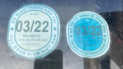 Sử dụng tem kiểm định giả mua bán trên mạng, tài xế chịu phạt "nặng"