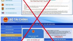 Báo động tình trạng giả mạo trang web cơ quan Nhà nước