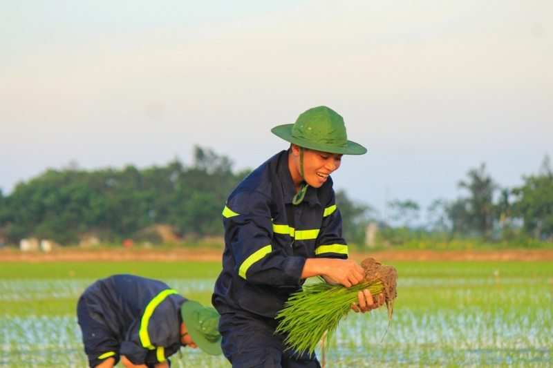 Chiến sĩ trẻ Thủ đô cấy lúa cùng dân trong thời tiết 40 độ C