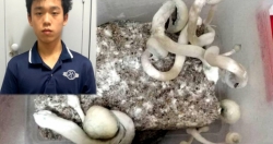 Nam sinh bán ma túy mang tên Nấm thức thần sẽ phải đối diện với hình phạt nào?