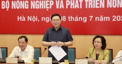 Quy hoạch sông Hồng không chỉ phục vụ nông nghiệp mà còn tạo nguồn lực xây dựng Thủ đô