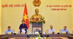 Cần quản lý chặt cuộc thi người đẹp để dẹp "loạn"