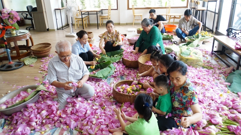 Nghề ướp trà sen Quảng An là Di sản văn hoá phi vật thể Quốc gia