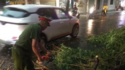 Phường Tây Hồ khuyến cáo người dân chủ động phòng chống bão số 3