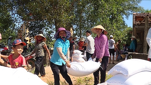 tren 230 tan gao cuu doi giap hat cho nguoi dan dak nong