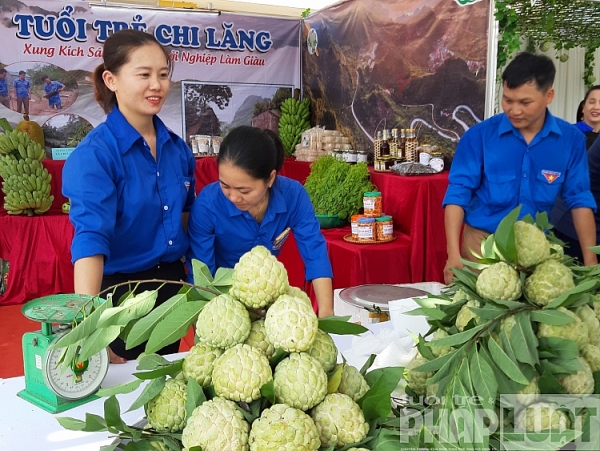 sung sot na nu hoang 1kg 1 qua