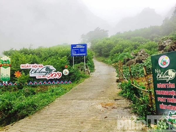 sung sot na nu hoang 1kg 1 qua