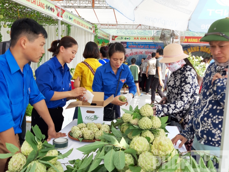 Sửng sốt "Na Nữ Hoàng" 1kg 1 quả