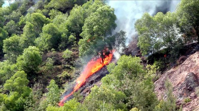 Cháy rừng tại thị xã Cửa Lò nghi do đốt vàng mã rằm tháng 7