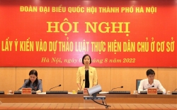 ha noi lay y kien vao du thao luat thuc hien dan chu o co so