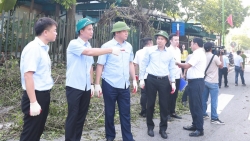 Bảo vệ môi trường trở thành thói quen, nếp sống của người dân phường Hoàng Mai