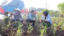 phuong linh nam chung tay giu gin moi truong xay dung nep song van minh hien dai