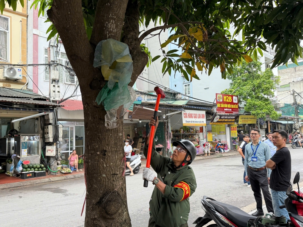 Phường Cầu Giấy: Dứt điểm, rõ trách nhiệm trong đảm bảo trật tự đô thị