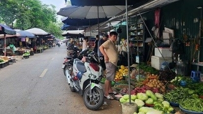 Hà Nội xây dựng lộ trình xóa bỏ chợ cóc, chợ tạm và cơ sở giết mổ nhỏ lẻ