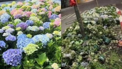 Đừng để hành vi thiếu ý thức làm ảnh hưởng ngày lễ trọng đại của đất nước