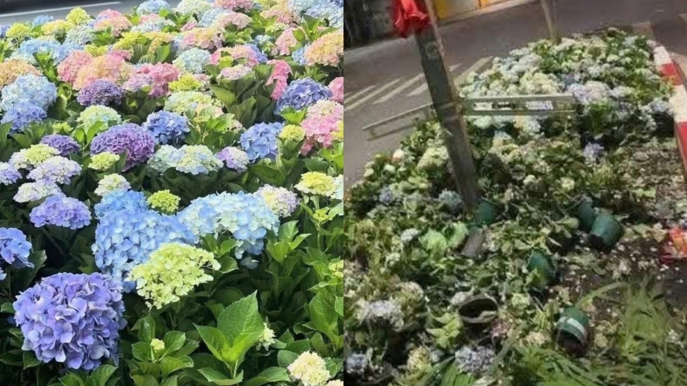 Đừng để hành vi thiếu ý thức làm ảnh hưởng ngày lễ trọng đại của đất nước