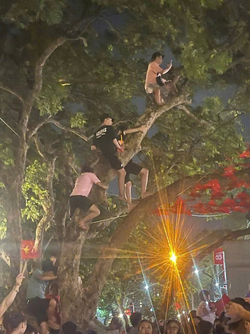 Cây xanh cũng thành ghế ngồi