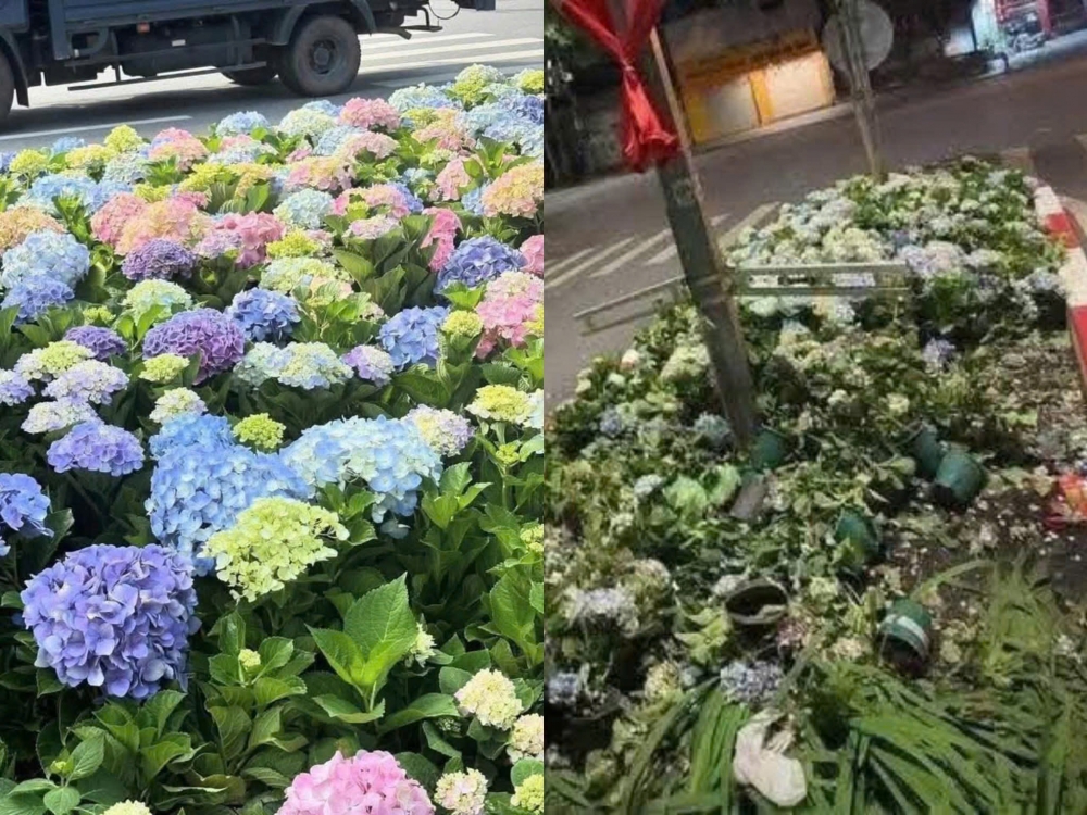 Hoa tươi được chuyển từ Đà Lạt ra trang hoàng đường phố cũng bị giẫm nát