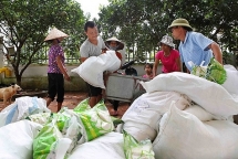 2000 tan gao den voi nguoi dan vung lu quang binh va ha tinh