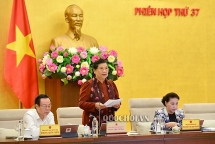 Cần xác định thanh niên không phải nhóm "yếu thế"