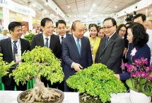 Hà Nội thay đổi diện mạo nông thôn mới; ông Trần Thanh Mẫn tái cử Chủ tịch UBTƯ MTTQ Việt Nam