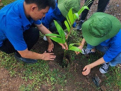 ra quan doi hinh chuyen chuyen giao tien bo khoa hoc ky thuat