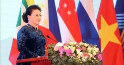 Đại hội đồng AIPA 41 tiếp tục ngày làm việc thứ hai, thảo luận nhiều vấn đề quan trọng