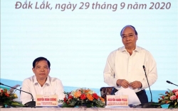 Thủ tướng Nguyễn Xuân Phúc chủ trì Hội nghị phát triển cây mắc ca tại Việt Nam