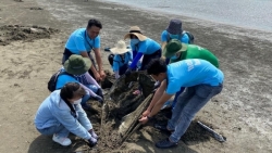 Chung tay cùng cộng đồng làm sạch bãi biển, bảo vệ môi trường