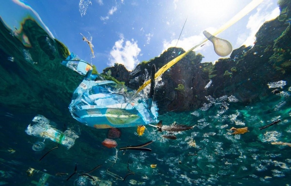 Thế giới đã sử dụng 460 triệu tấn nhựa trong năm 2021