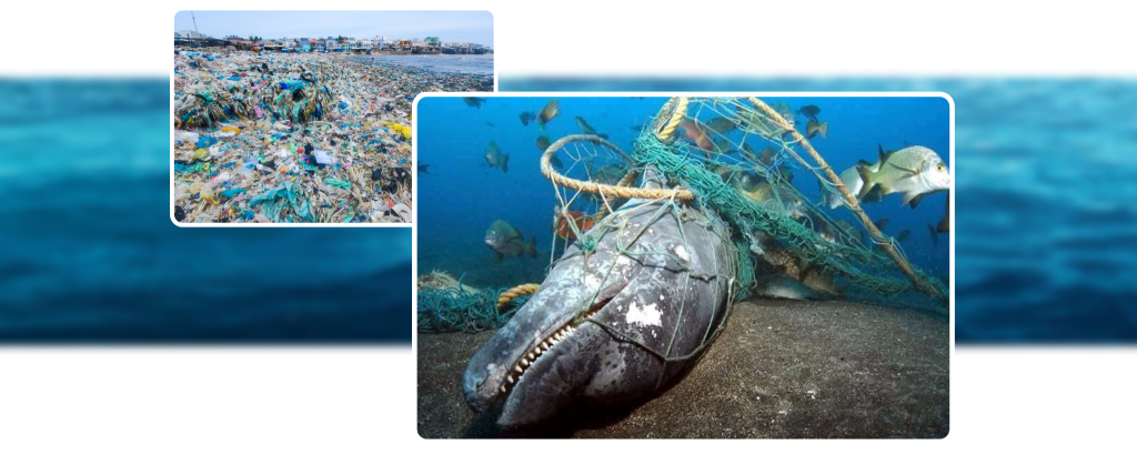 Rác thải gây nguy hại tới sinh vật biển đại dương