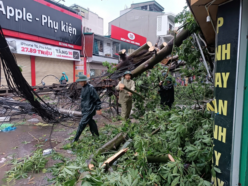 Cây đổ khiến hiện trường ngổn ngang, cản trở giao thông trên địa bàn phường Vĩnh Hưng