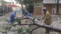 quan cau giay trong mua bao 1 nguoi tu vong do cay do