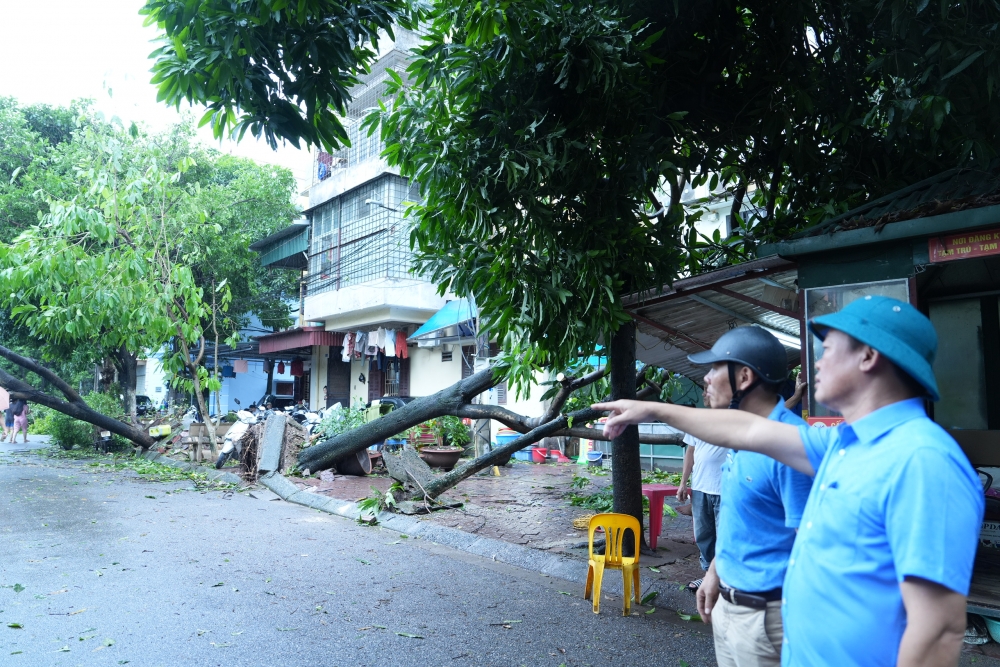 Quận Cầu Giấy chung tay khắc phục hậu quả bão Yagi