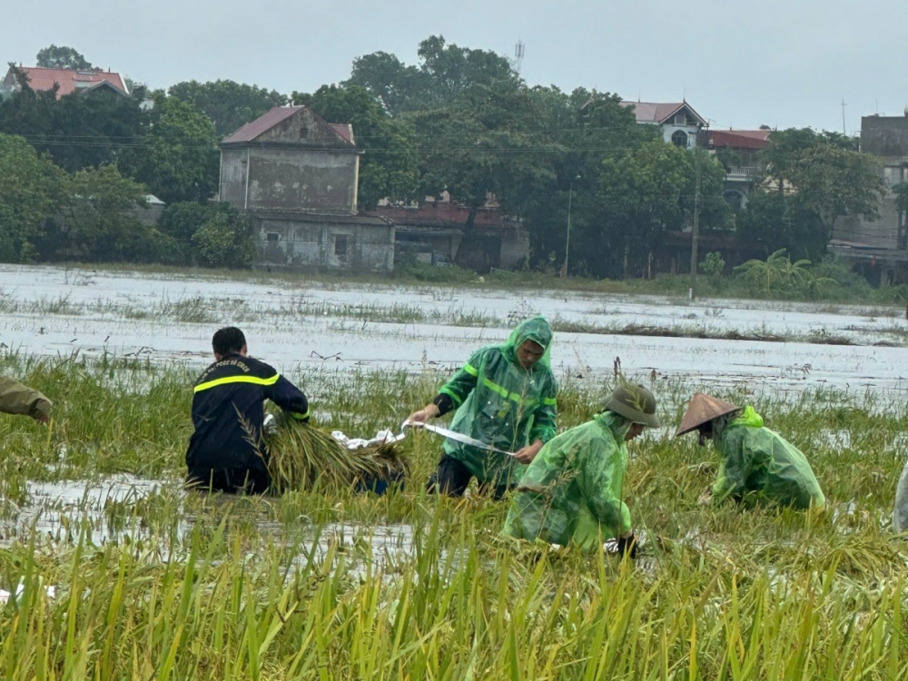 Những việc làm thiết thực, ý nghĩa trong mùa mưa bão của cán bộ, chiến sĩ Công an Thủ đô đã để lại ấn tượng tốt đẹp trong lòng nhân dân.