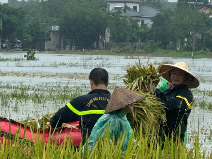 Mỗi bó lúa là mỗi cánh tay siết chặt tình quân dân