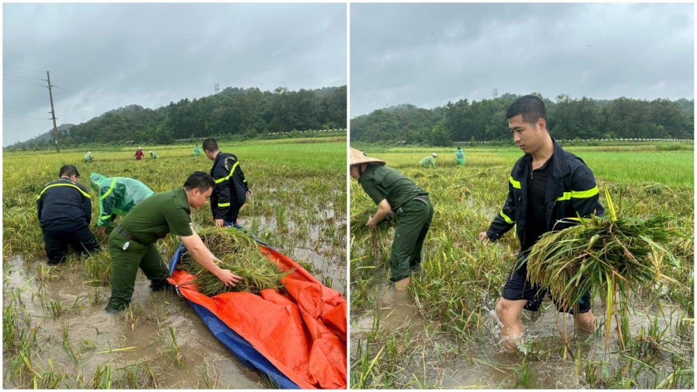 Cũng tinh thần vì nhân dân phục vụ, Công an huyện Mỹ Đức đã phối hợp với chính quyền địa phương và các lực lượng gia cố đê điều ngăn lũ, giúp các gia đình chính sách, neo đơn, bằng mọi biện pháp, kịp thời di chuyển nhiều tài sản và đẩy nhanh việc thu hoạch lúa chín, hoa màu, sát cánh cùng nhân dân vượt lũ.