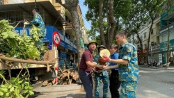 14 phuong cua quan hoang mai dong loat tong ve sinh moi truong