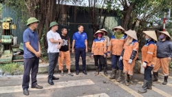 phuong trong lu tung ngay khac phuc hau qua sau lu