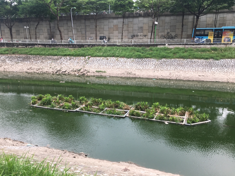 Nghĩa Đô chung tay “hồi sinh” sông Tô Lịch