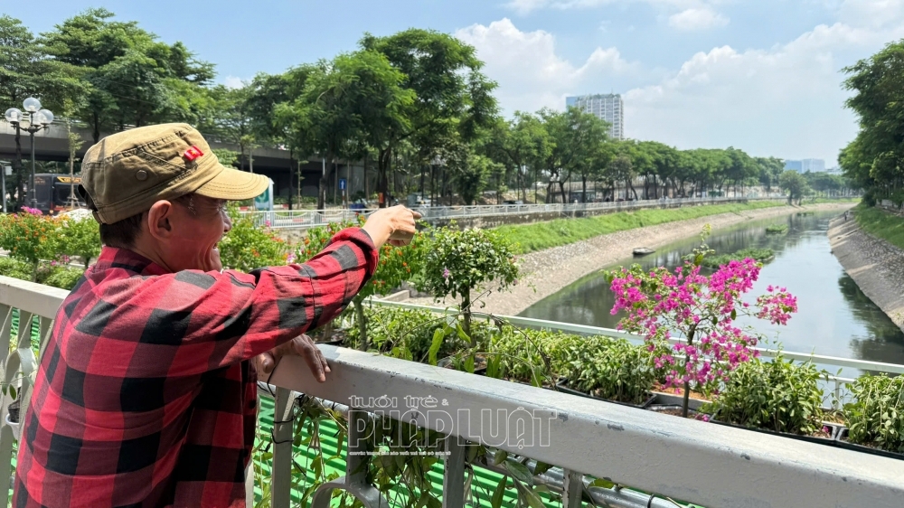 Những chậu hoa bên dòng Tô Lịch