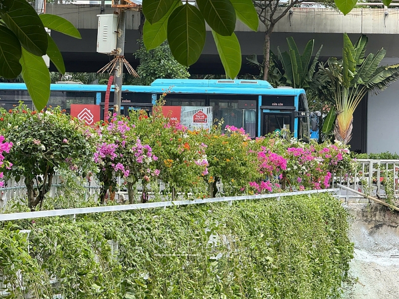 Sông Tô Lịch đổi thay: Trang trí hoa, lắp máy sục khí và chuẩn bị xây công viên nghìn tỷ